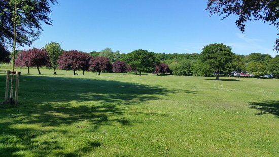 War Memorial Park